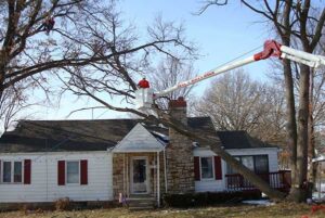 tree-branch-overhanging-house-roof-ryan