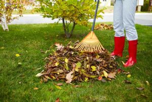 raking-leaves-pile-image