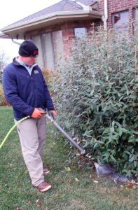 landscape plants need fall fertilizer