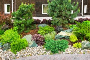 tree-and-shrub-garden-image