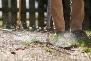tree-fertilization-image