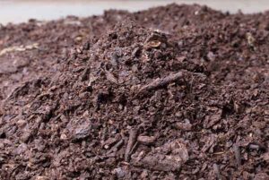 leaf-compost-mulch