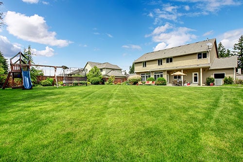 summer-lawn-water-green-lawn