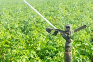 impact-sprinkler-head-image