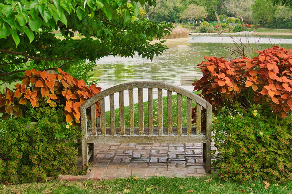 Overland-Park-Arboretum-and-Botanical-Gardens