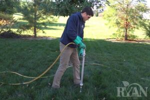 tree-fertilization-image