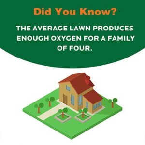did-you-know-lawn-face-oxygen