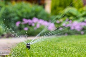 lawn-sprinkler-active-flowers-ryan