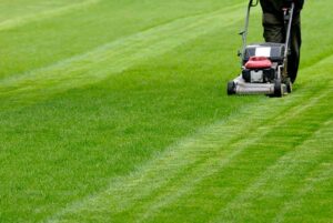 mowing-grass-lush-lawn